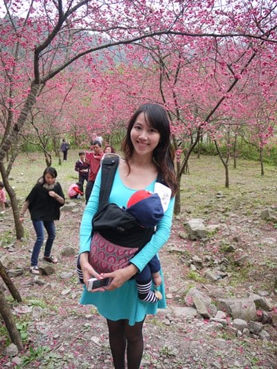 【宜蘭景點】安貴妃拜年♥ 宜蘭三星米香銀柳節♥大同鄉秘境牛鬥賞櫻 ♥