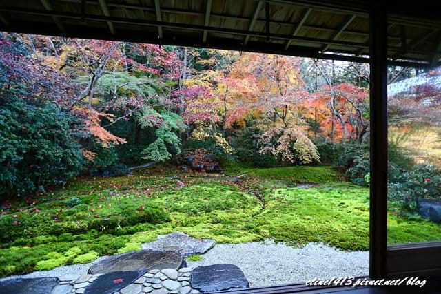 ▌京都賞楓▌京都賞楓名所♥瑠璃光院♥絕美夢幻的紅葉美景by陽光男孩