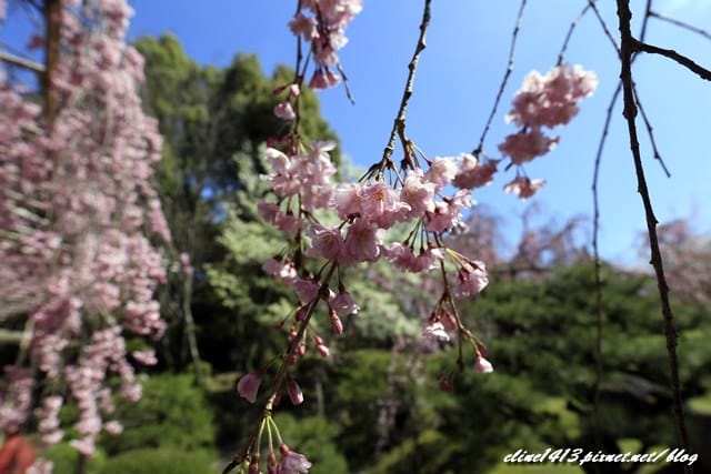 _MG_8587.JPG