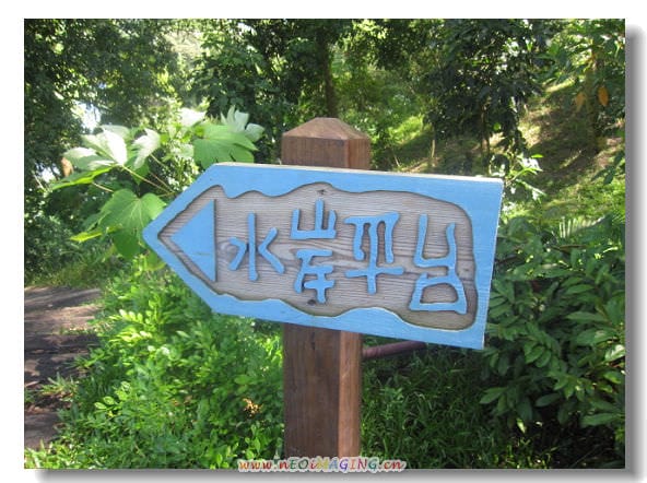 ▌苗栗景點▌仲夏*幸福薰衣草森林之旅[明德店]