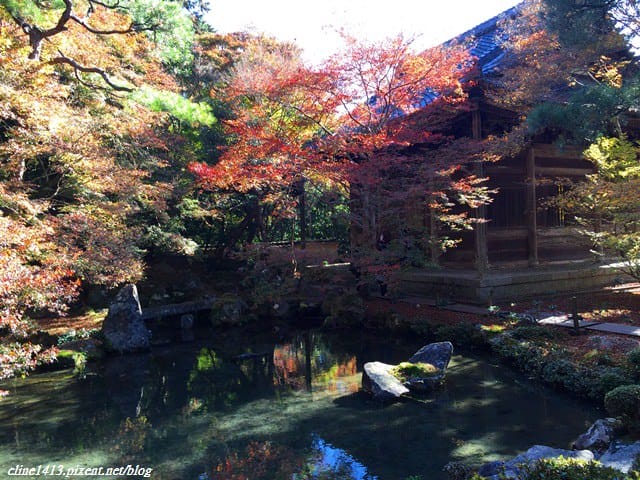 ▌京都賞楓▌♥蓮華寺♥小景卻意外讓人驚豔的楓葉美景