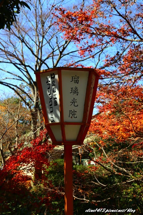 ▌京都賞楓▌京都賞楓名所♥瑠璃光院♥絕美夢幻的紅葉美景by陽光男孩