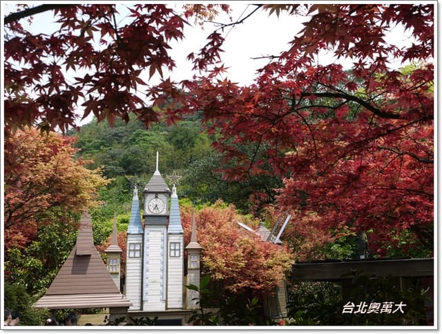 春天˙楓葉紅了~【台北奧萬大】賞楓好地方