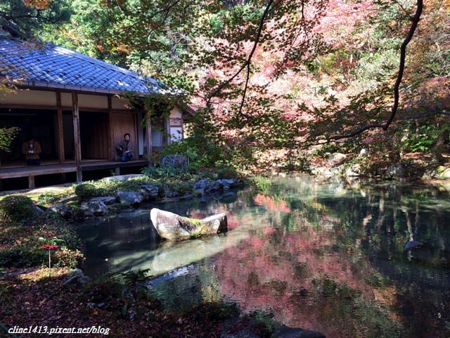 ▌京都賞楓▌♥蓮華寺♥小景卻意外讓人驚豔的楓葉美景