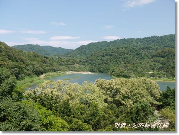 【苗栗景點】全台唯一湖中島~日新島水榭樓台島上咖啡