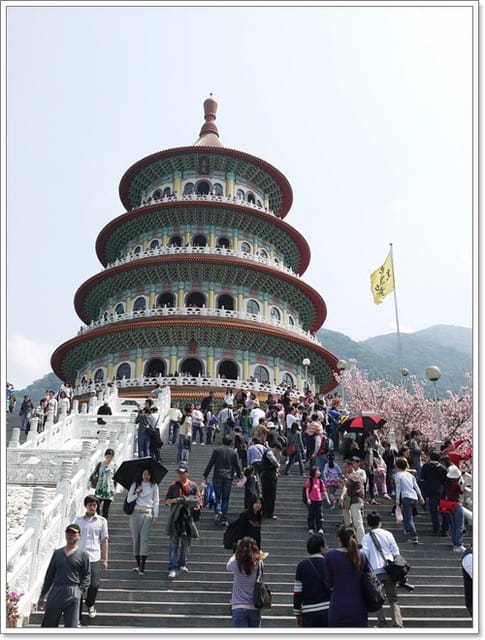 等了一年終於看到的【淡水天元宮】櫻花 - 第4張圖 等了一年終於看到的【淡水天元宮】櫻花