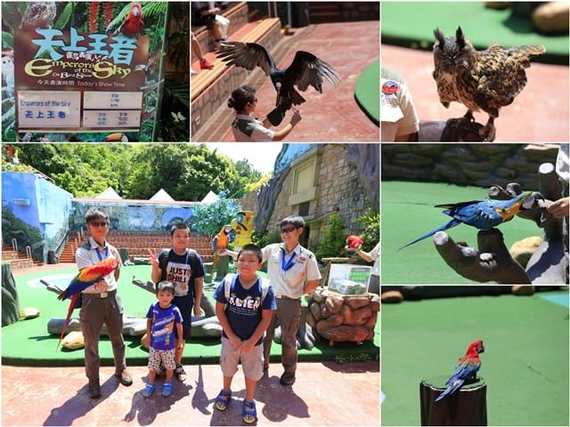 ▌2016香港親子行▌♥香港海洋公園Ocean Park Hong Kong ♥三天兩夜精彩行程分享(海洋公園夏水禮、海綿寶寶夏水派對)