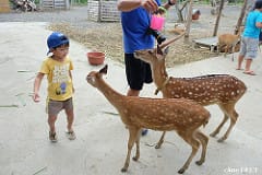 ▌墾丁吃喝玩樂懶人包▌♥12間民宿飯店.八處景點.八間美食&餐廳，好吃好玩、親子飯店推薦♥(2017年六月更新)