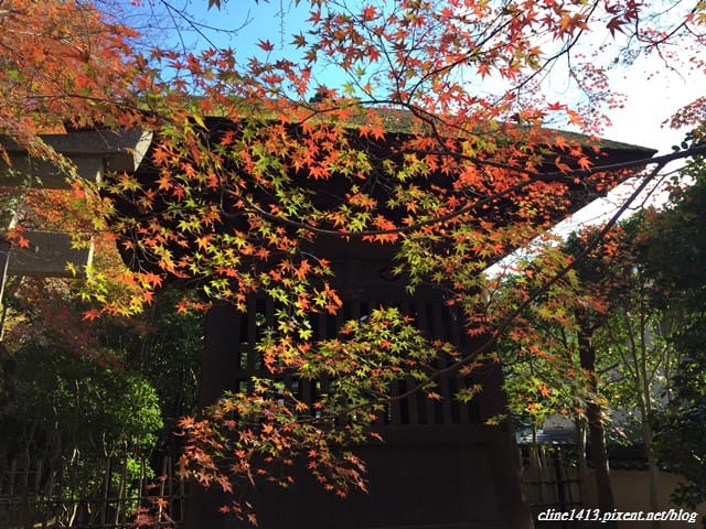▌京都賞楓▌♥蓮華寺♥小景卻意外讓人驚豔的楓葉美景