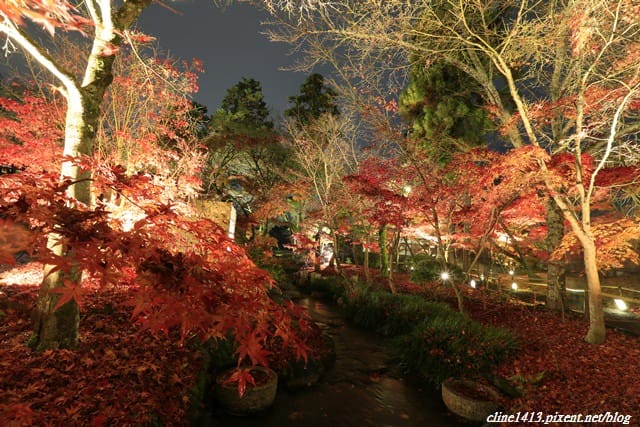 ▌京都賞楓▌必訪名所♥永觀堂♥日楓、夜楓都很迷人