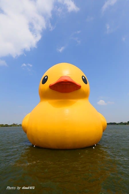 qq3.JPG