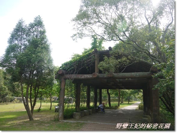 【苗栗景點】全台唯一湖中島~日新島水榭樓台島上咖啡