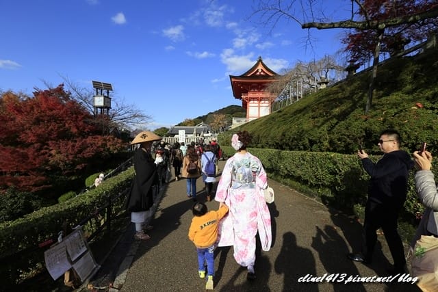 ▌清水寺 ▌京都賞楓必訪景點♥清水寺♥絕美夜楓!京阪賞楓自由行行程分享By陽光男孩
