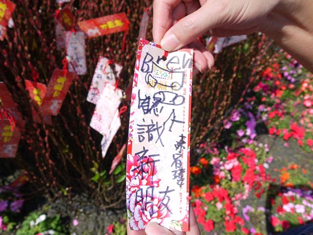 【宜蘭景點】安貴妃拜年♥ 宜蘭三星米香銀柳節♥大同鄉秘境牛鬥賞櫻 ♥