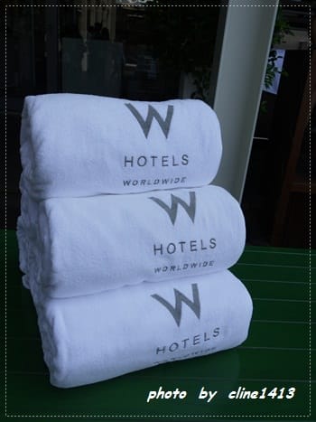 ★紫醉金迷˙W   HOTEL 【紫艷酒吧】奢華貴婦趴