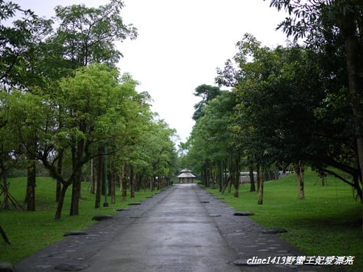 ▌宜蘭民宿▌羅馬建築˙宜蘭SoCat 貓腳印美食民宿~