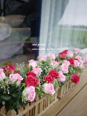 ▌宜蘭民宿▌浪漫指數破表! 如畫般的河畔童話小木屋♥宜蘭安緹利亞歐若拉公主城堡♥