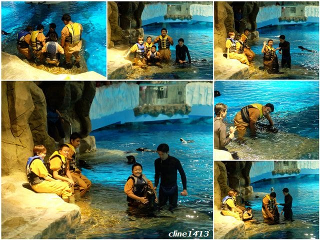 ▌2016香港親子行▌♥香港海洋公園Ocean Park Hong Kong ♥三天兩夜精彩行程分享(海洋公園夏水禮、海綿寶寶夏水派對)