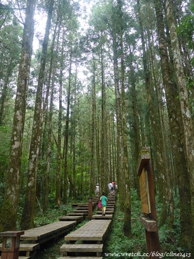 ▌宜蘭景點▌美如仙境的避暑盛地♥ 明池森林遊樂園區♥