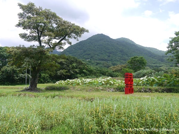 【北部景點】以為在國外? 超夢幻水教堂&熱門婚紗景點♥ 淡水˙大屯花卉農場♥