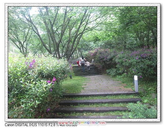 ▌陽明山美食▌綠風莊園~踏青去