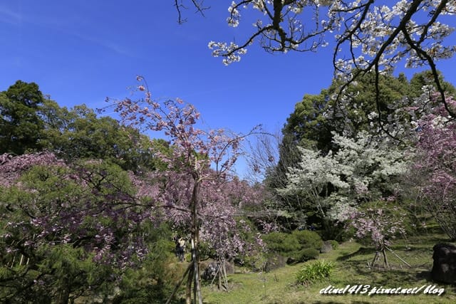 _MG_8553.JPG