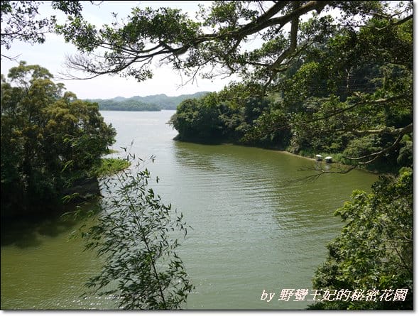 【苗栗景點】全台唯一湖中島~日新島水榭樓台島上咖啡