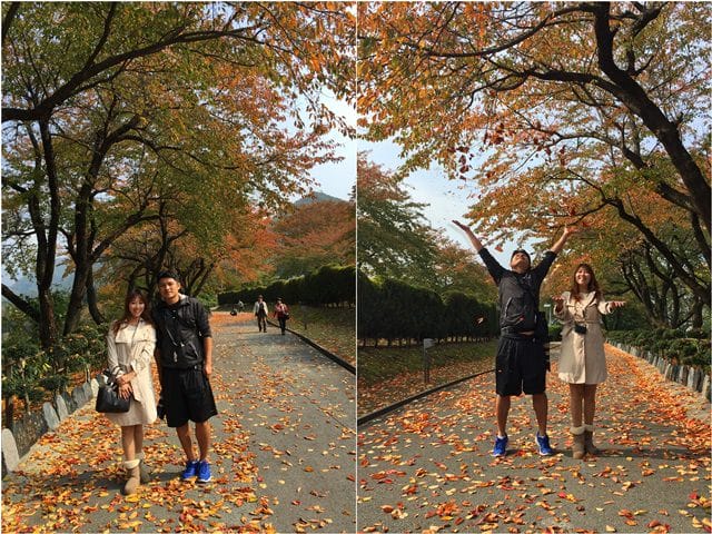 ▌日本東北賞楓▌吉光旅遊我醉美♥奧入瀨溪、十和田湖精彩行程分享♥湯旅七日賞美景、泡好湯、吃美食