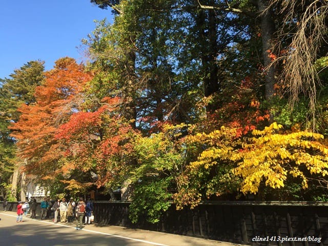 ▌日本東北賞楓▌吉光旅遊我醉美♥奧入瀨溪、十和田湖精彩行程分享♥湯旅七日賞美景、泡好湯、吃美食