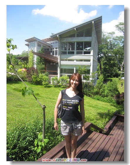 ▌苗栗景點▌仲夏*幸福薰衣草森林之旅[明德店]