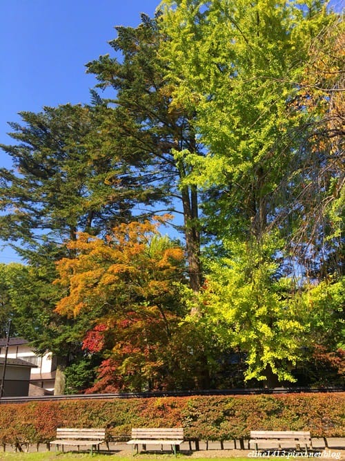 ▌日本東北賞楓▌吉光旅遊我醉美♥奧入瀨溪、十和田湖精彩行程分享♥湯旅七日賞美景、泡好湯、吃美食