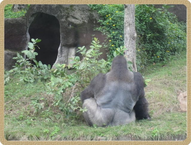 陪公子遊 動物園~甜蜜的負荷