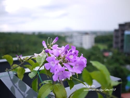 ▌宜蘭民宿▌來去泡一晚! 邊泡湯邊欣賞龜山島美景的極致享受♥礁溪筑翫villa 溫泉會館♥(1/12更新)