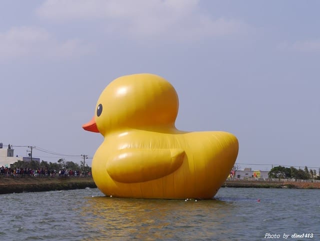 17.JPG