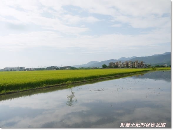 【推薦】令人難忘的田園美景~宜蘭【春不老驛站】民宿˙景觀篇