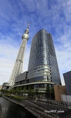 ▌日本必買▌2014♥東京成田機場♥必買伴手禮.零食分享! (第二航站Akihabara免稅店攻略) - 第92張圖 ▌日本必買▌2014♥東京成田機場♥必買伴手禮.零食分享! (第二航站Akihabara免稅店攻略)