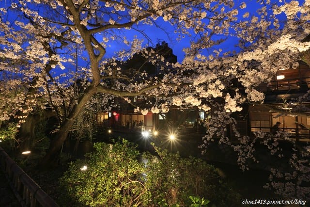 ▌京都。賞櫻▌♥京都十大賞櫻景點、賞櫻路線♥2016日本櫻花情報分享