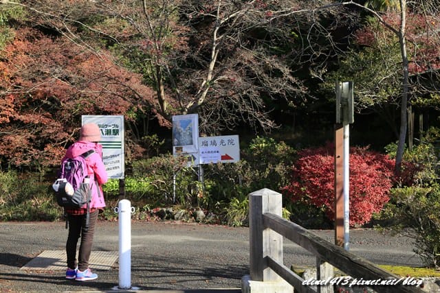 ▌京都賞楓▌京都賞楓名所♥瑠璃光院♥絕美夢幻的紅葉美景by陽光男孩