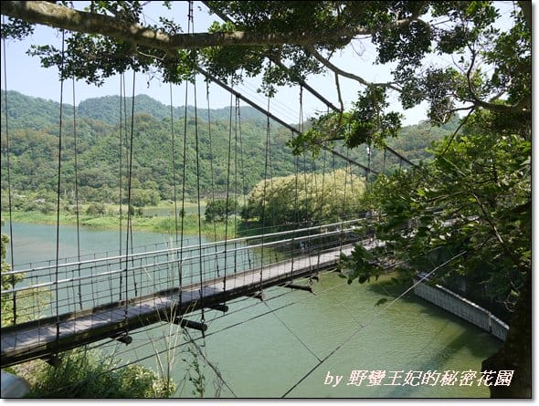 【苗栗景點】全台唯一湖中島~日新島水榭樓台島上咖啡
