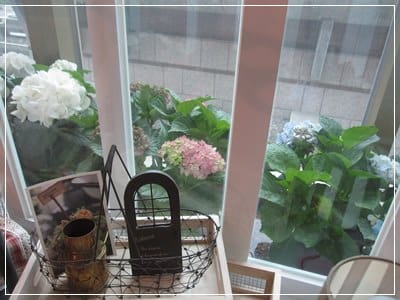 ▌新板橋下午茶▌HANA <板橋環球店> 下午茶