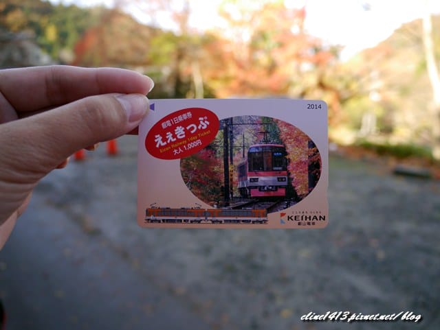 ▌京都賞楓▌京都賞楓名所♥瑠璃光院♥絕美夢幻的紅葉美景by陽光男孩