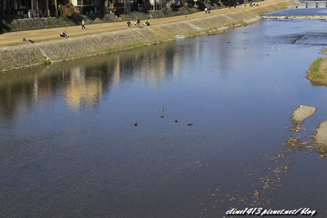 _MG_8163.JPG