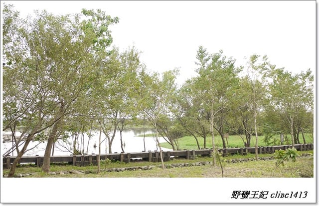 ▌羅東景點▌清幽如畫~羅東林業文化園區