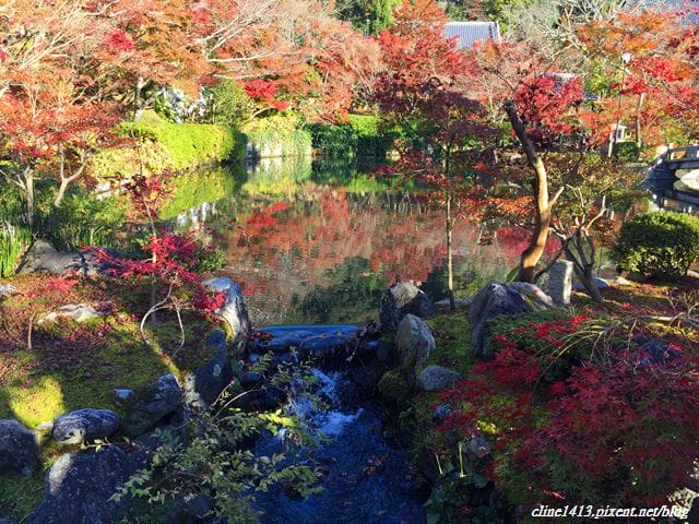 ▌京都賞楓▌必訪名所♥永觀堂♥日楓、夜楓都很迷人