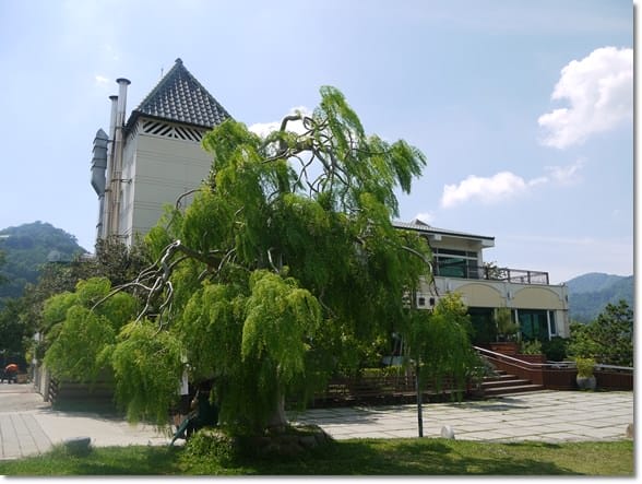 【苗栗景點】夢想的莊園~苗栗˙巧克力雲莊