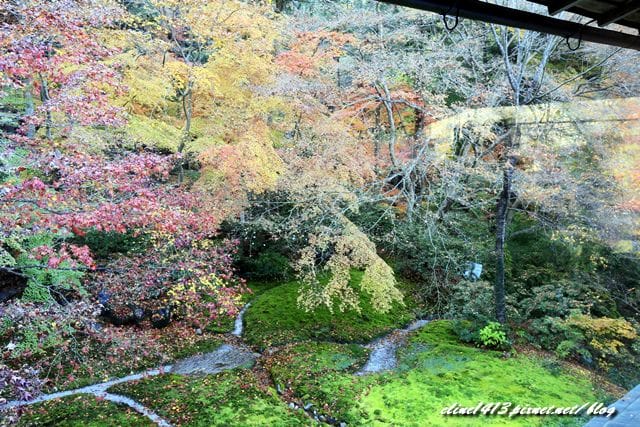 ▌京都賞楓▌京都賞楓名所♥瑠璃光院♥絕美夢幻的紅葉美景by陽光男孩