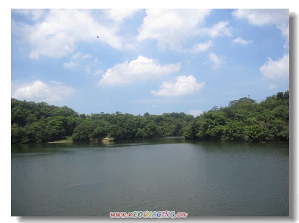 ▌苗栗景點▌仲夏*幸福薰衣草森林之旅[明德店]