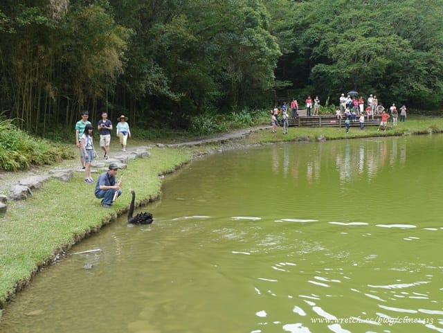 ▌宜蘭景點▌美如仙境的避暑盛地♥ 明池森林遊樂園區♥