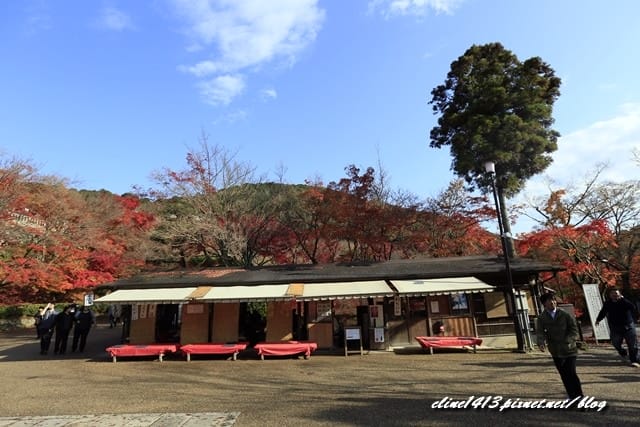 ▌清水寺 ▌京都賞楓必訪景點♥清水寺♥絕美夜楓!京阪賞楓自由行行程分享By陽光男孩