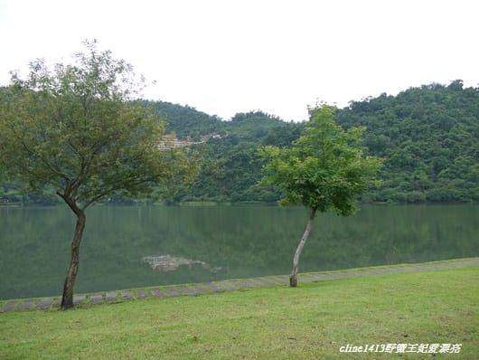 【旅遊】二訪宜蘭˙湖畔莊園& 梅花湖畔遇見桐花